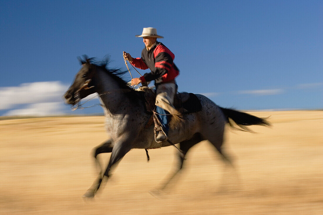 Cowboy reitet, Oregon, USA
