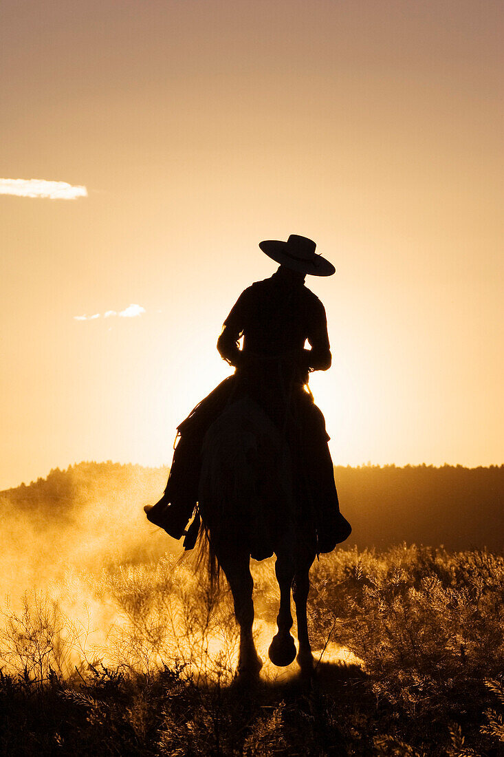 Cowboy reitet bei Sonnenuntergang, Oregon, USA