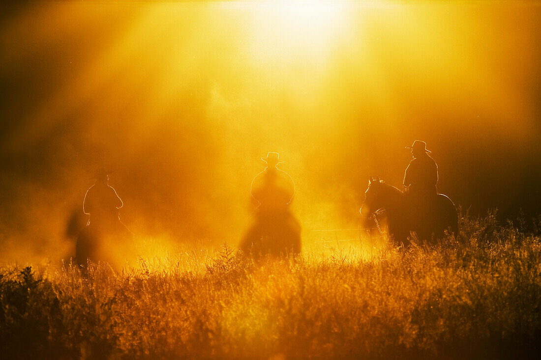 Cowboys reiten bei Sonnenuntergang, Oregon, USA