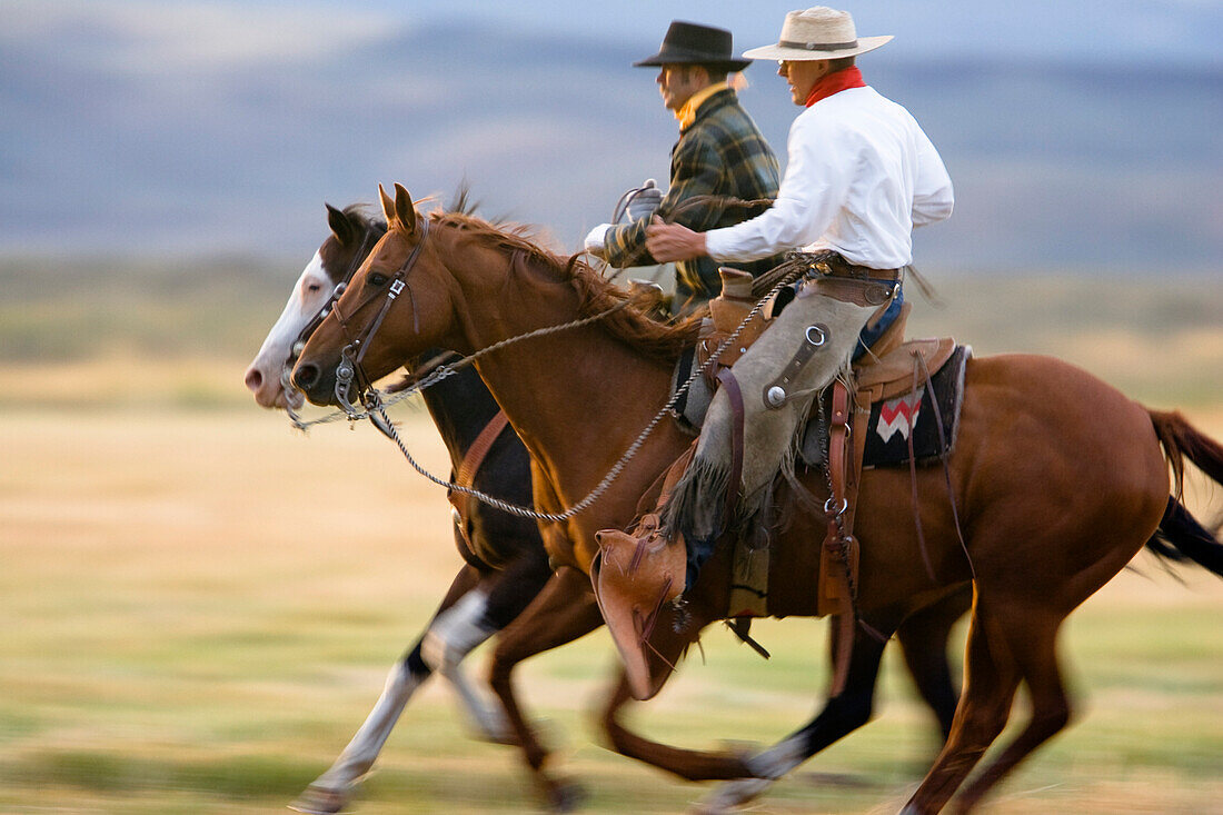 cowboys horseriding, Oregon, USA