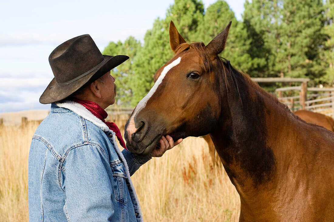 Cowboy mit Pferd, Wilder Westen, Oregon, USA