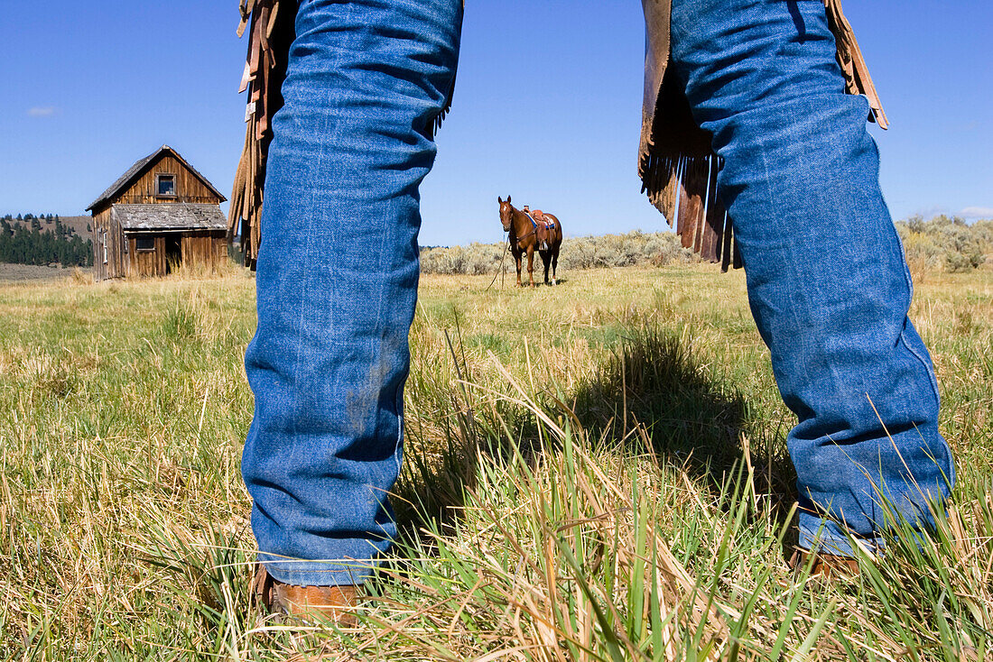 Cowboy boots, horse and barn, wildwest, Oregon, USA