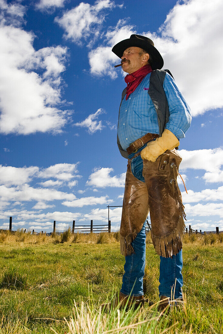 Cowboy auf Pferdekoppel, Wilder Westen, Oregon, USA