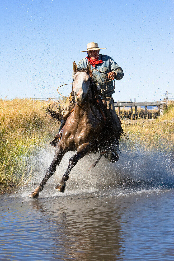 Cowboy reitet in Bachbett, Wilder Westen, Oregon, USA
