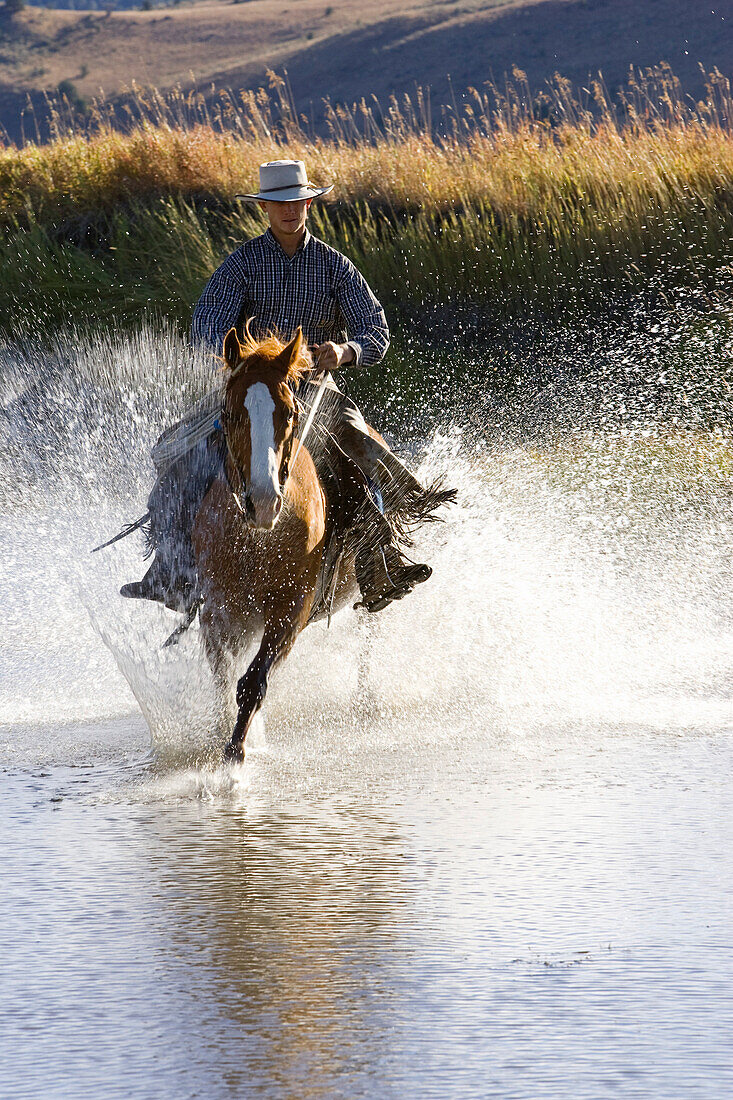 Cowboy riding in water, wildwest, Oregon, USA