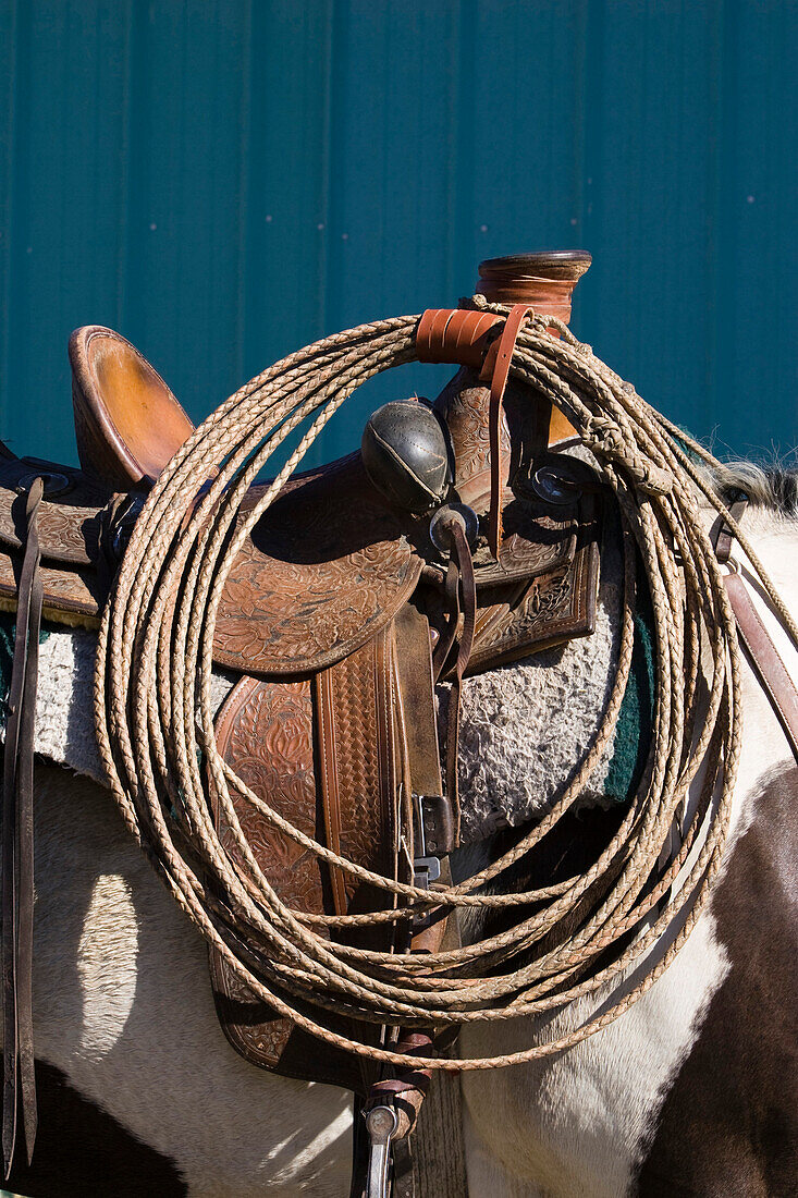 saddle and lasso, wildwest, Oregon, USA