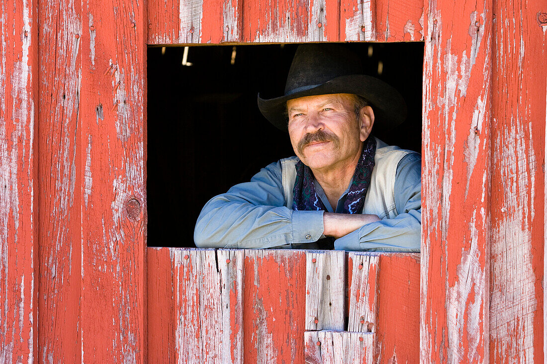 cowboy looking out of barn-window, wildwest, Oregon, USA