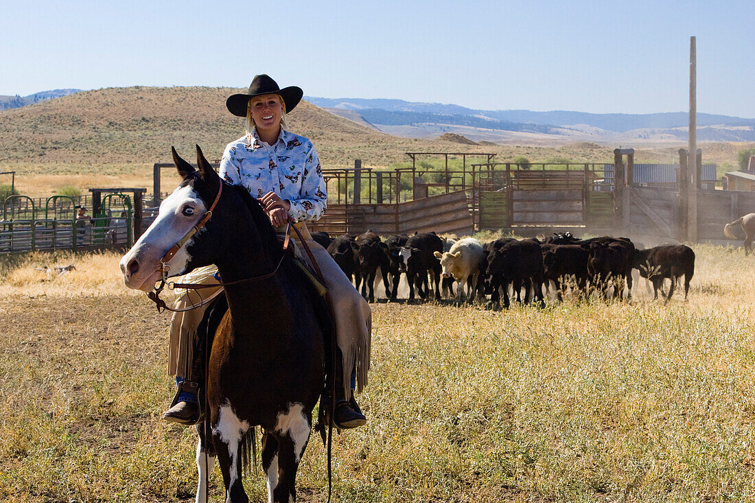 Cowgirl mit Rindern, Oregon, USA