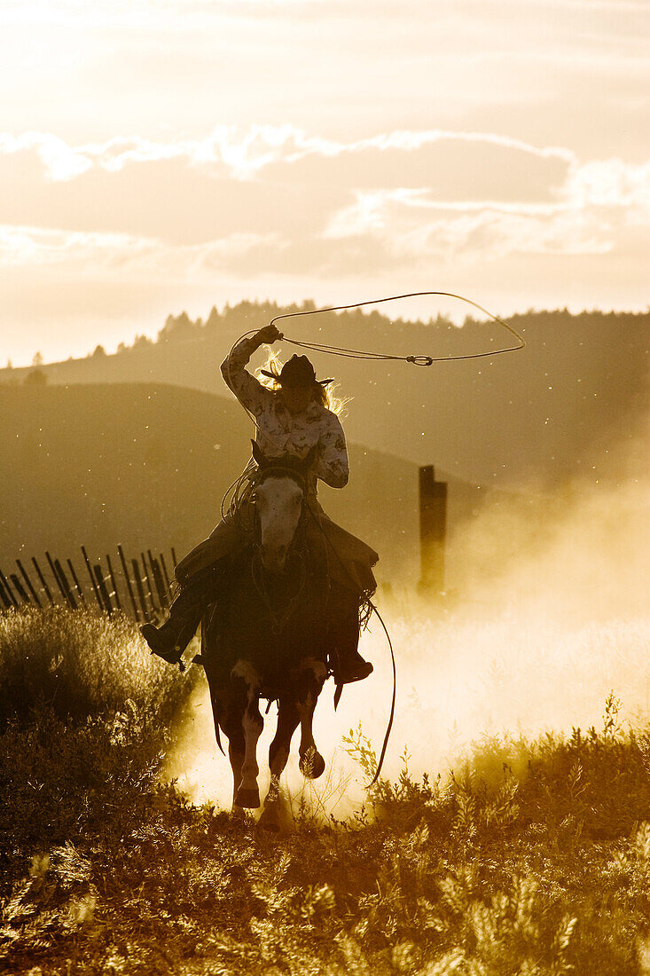 Cowgirl throwing lasso wildwest, Oregon, USA
