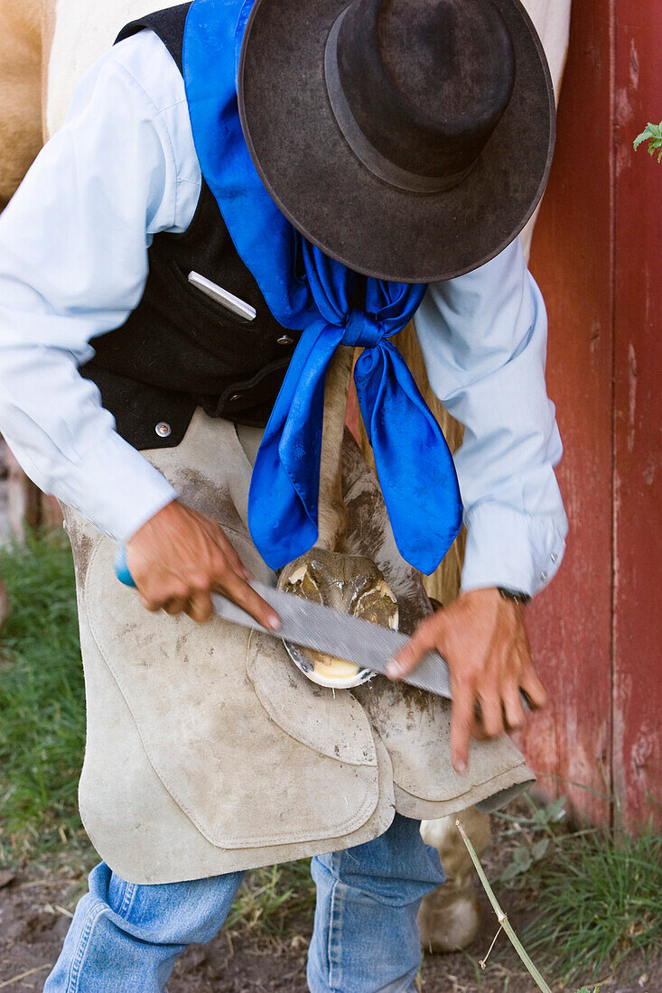 Pferd wird beschlagen, Wilder Westen, Oregon, USA