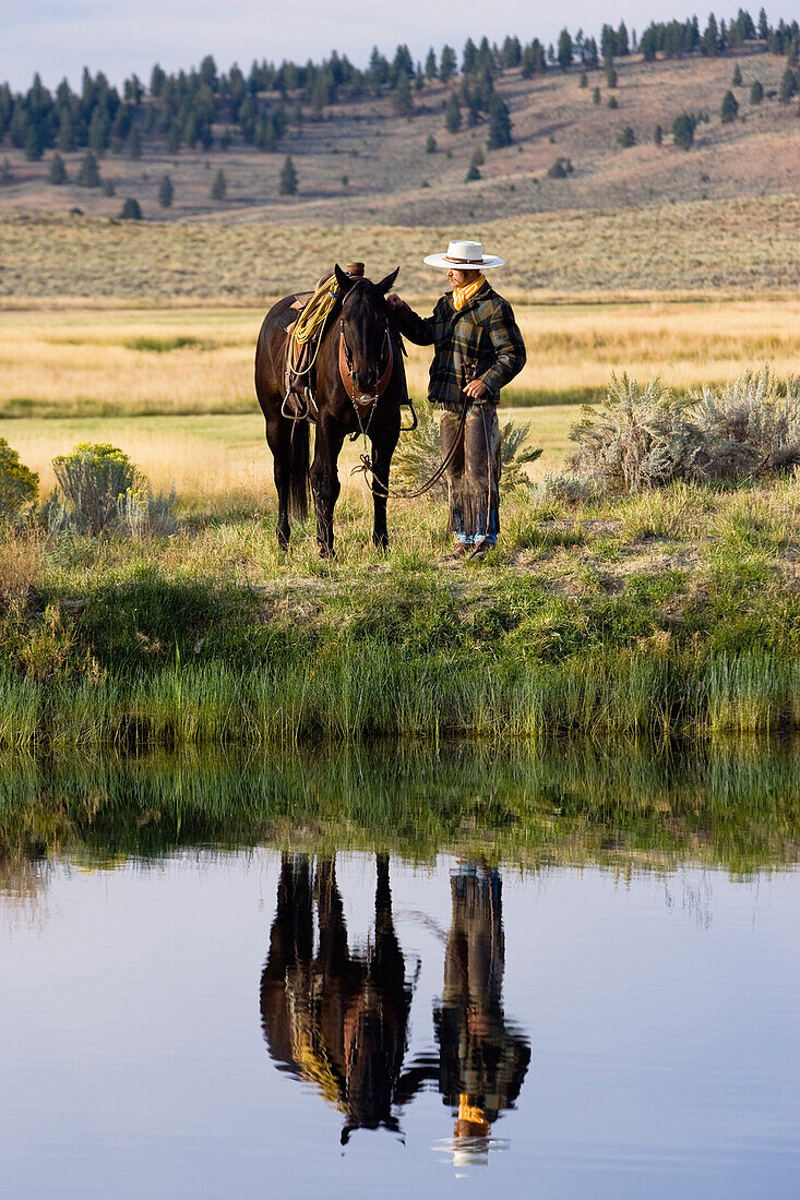 cowboy with horse, Oregon, USA