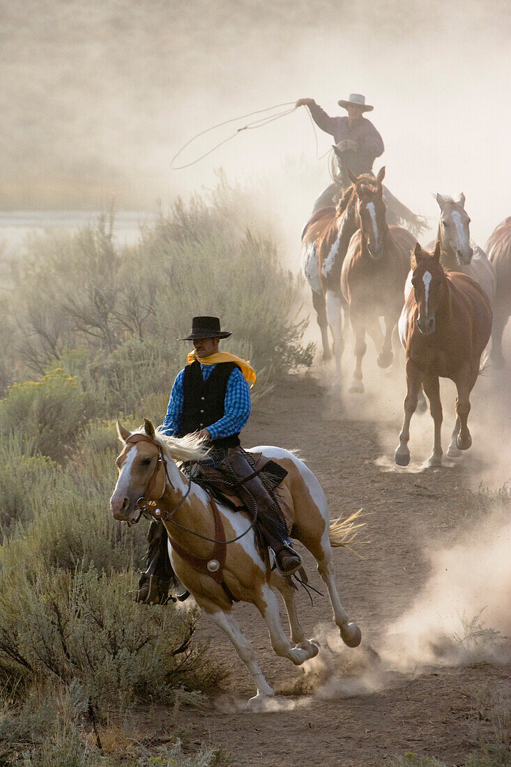 cowboys with horses, Oregon, USA – License image – 70084134 ❘ lookphotos
