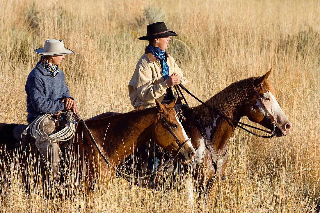 Cowboys auf Pferden, Oregon, USA