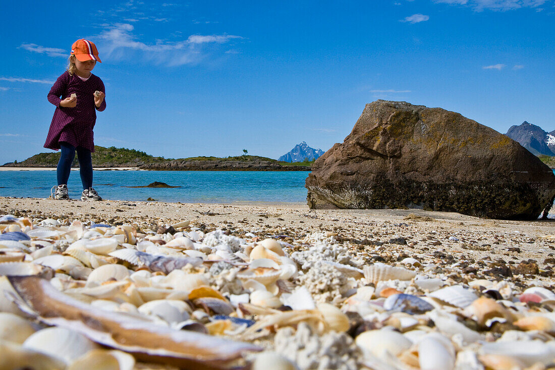 Kind, Mädchen sammelt Muscheln am Strand der Insel Store Molla, Lofoten, Norwegen, MR