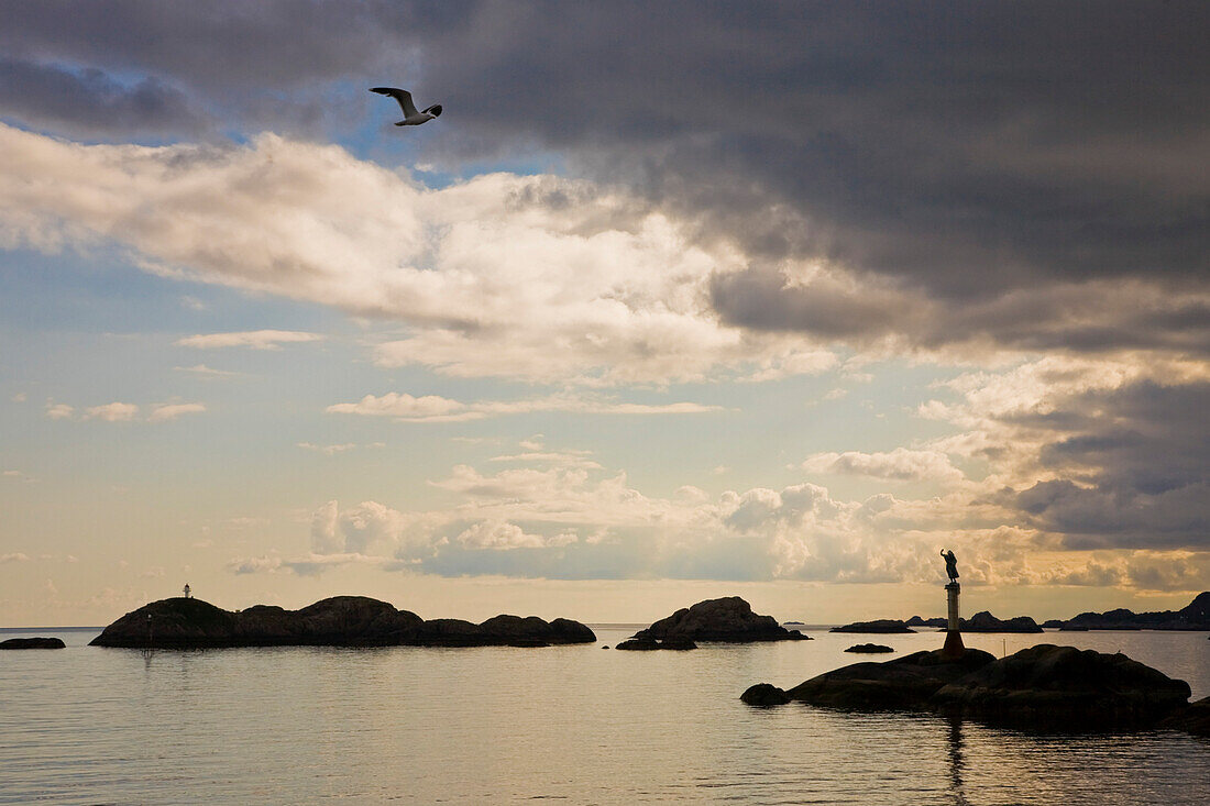 Seagull and port entrance of Svolvar, the capital of the Lofoten, Austvagoya Island, Lofoten, Norway