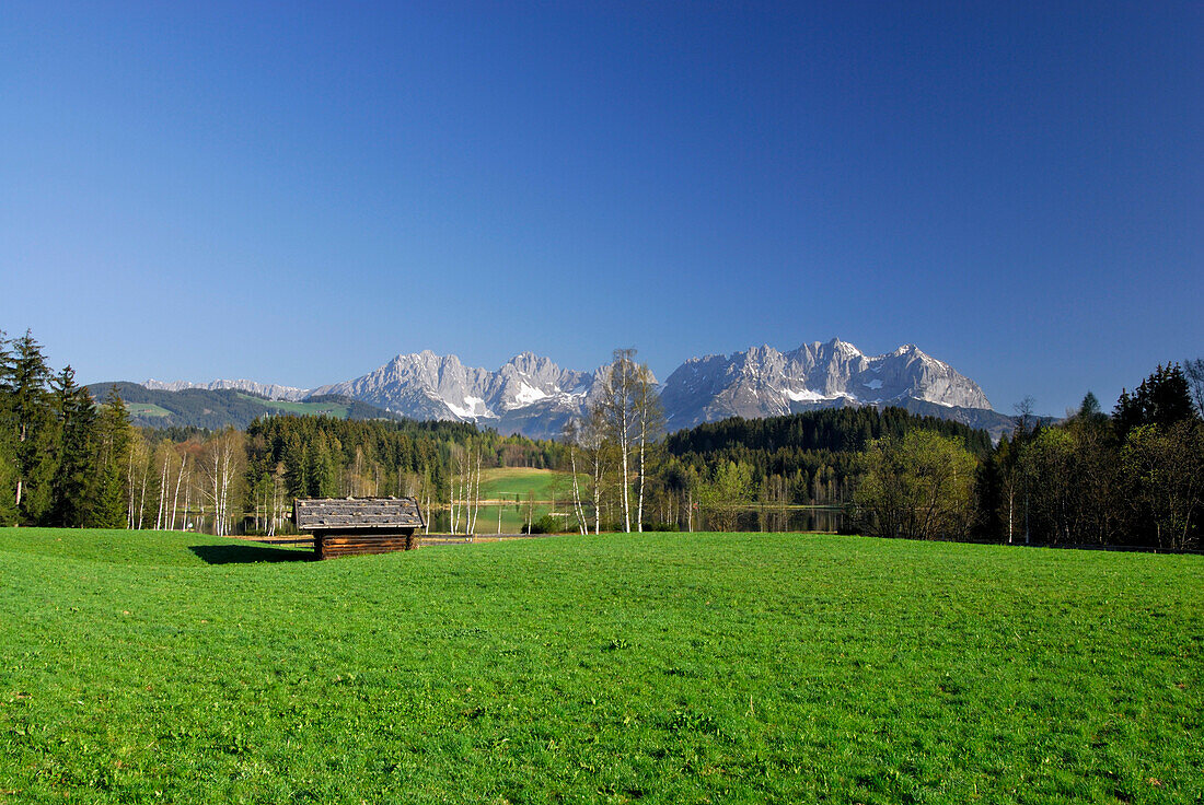 Hay barn on meadow, Wilder Kaiser range in background, lake Schwarzsee, Kitzbuehel, Tyrol, Austria