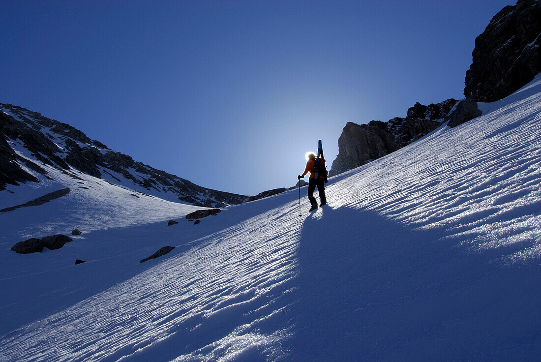 Backcountry skier ascending Holzgauer Wetterspitze, Lechtal range, Vorarlberg, Austria