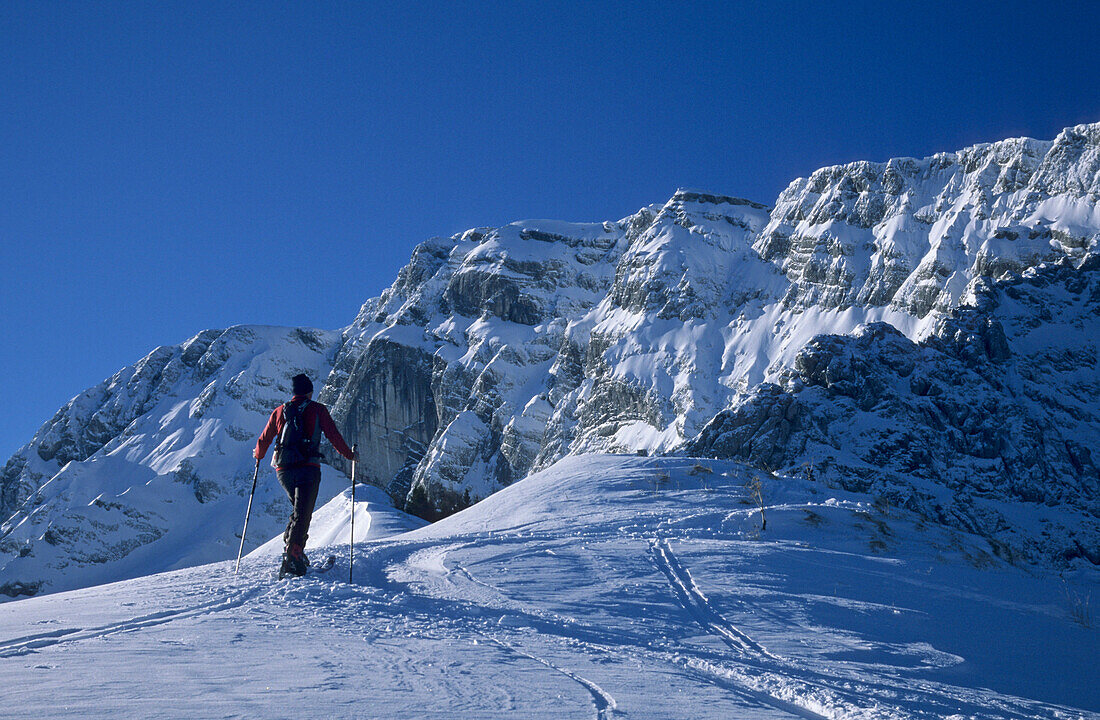 Skibergsteiger im Aufstieg unter der schneebedeckten Ostflanke des Hohen Gölls, Berchtesgadener Alpen, Oberbayern, Bayern, Deutschland