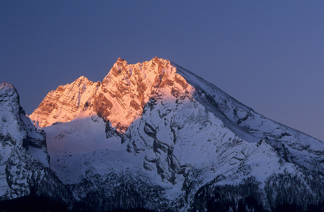 Watzmann glowing in morning light, Berchtesgaden range, Upper Bavaria, Bavaria, Germany