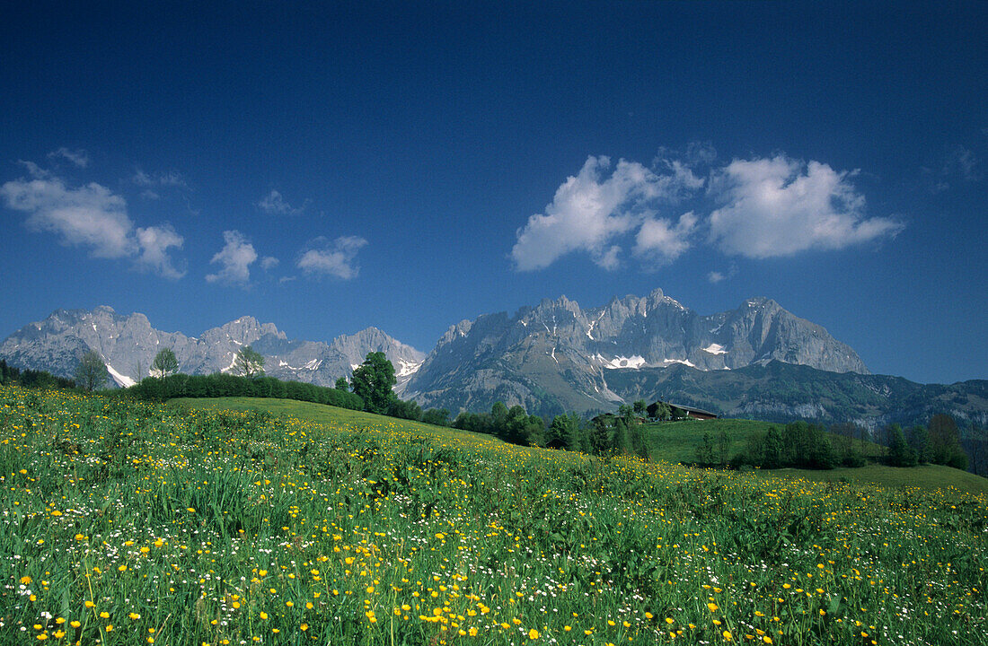 Blick auf den Wilden Kaiser mit traditionellem Bauernhof, Wilder Kaiser, Kaisergebirge, Tirol, Österreich