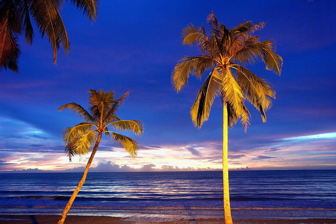 Strand in Khao Lak mit Palmen, Kao Lak, Thailand, Asien