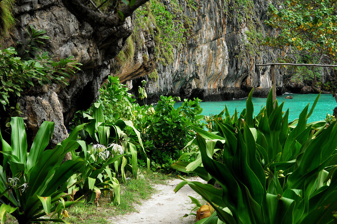 Phi Phi Leh, Islands, Thailand, Asia