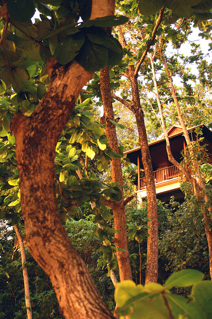 Bungalow resort in the rainforest, Koh Lanta, Ko Lanta, Thailand; Asia