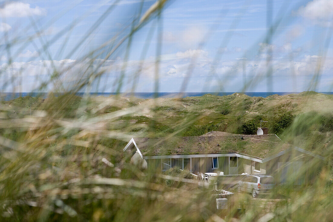 Ferienhaus in Dünen, Henne Strand, Jütland, Dänemark, Europa