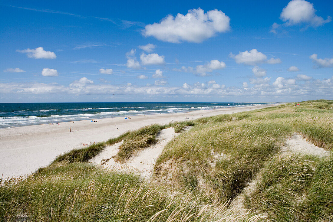 Dunes and Henne Strand Beach, Henne Strand, Central Jutland, Denmark