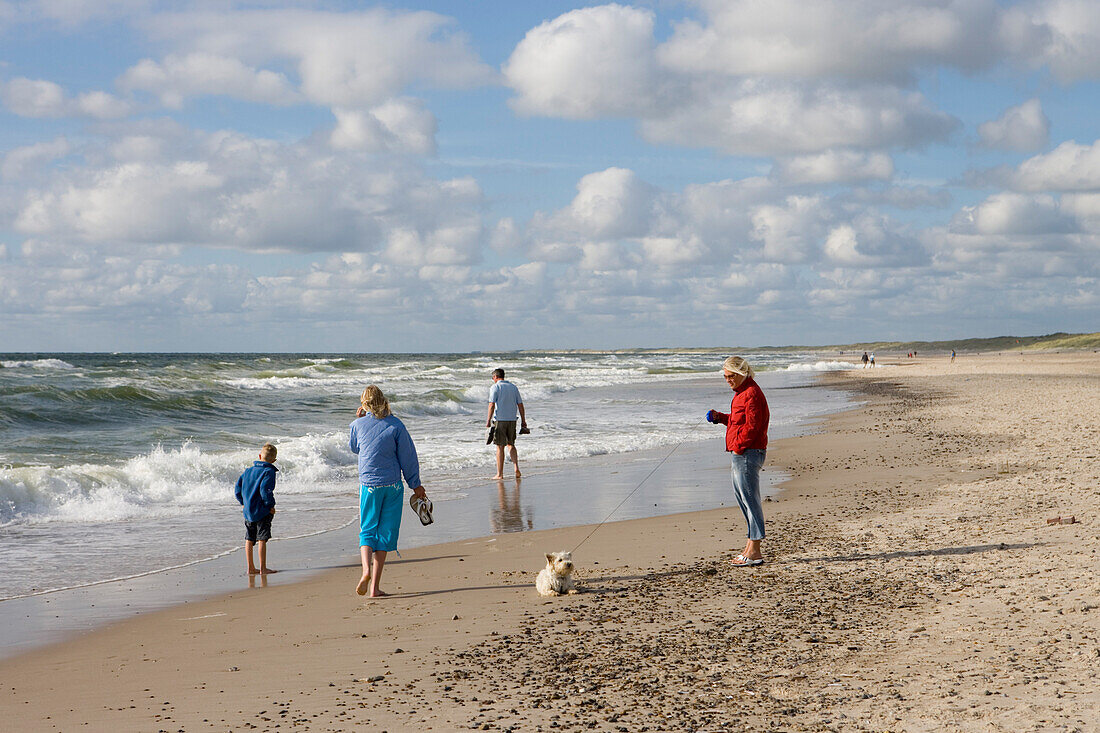Familie mit Hund spaziert am Strand, Henne Strand, Jütland, Dänemark, Europa