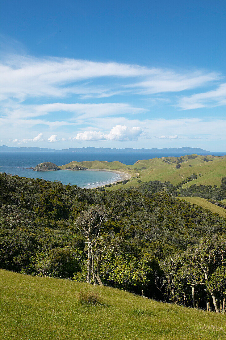 Grazing meadows for sheep, campground at the bay on the left, Port Jackson on the northern tip of Coromandel Peninsula, North Island, New Zealand