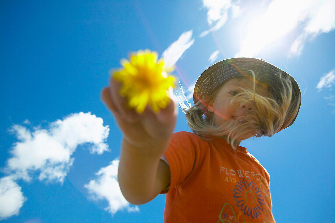 Girl (4-5 years) holding dandelion blossom, Bremen, Germany