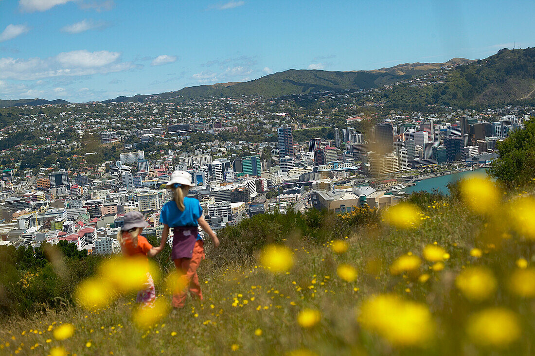 Girls playing on Mt. Victoria, flowers, meadow.  Overlooking citycentre of Wellington, North Island, New Zealand