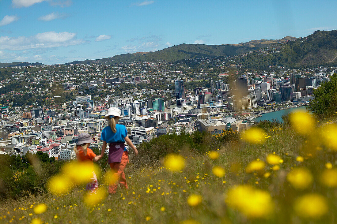 Kinder spielen in Blumenwiese auf Mt. Victoria, über Zentrum, Wellington, Nordinsel, Neuseeland