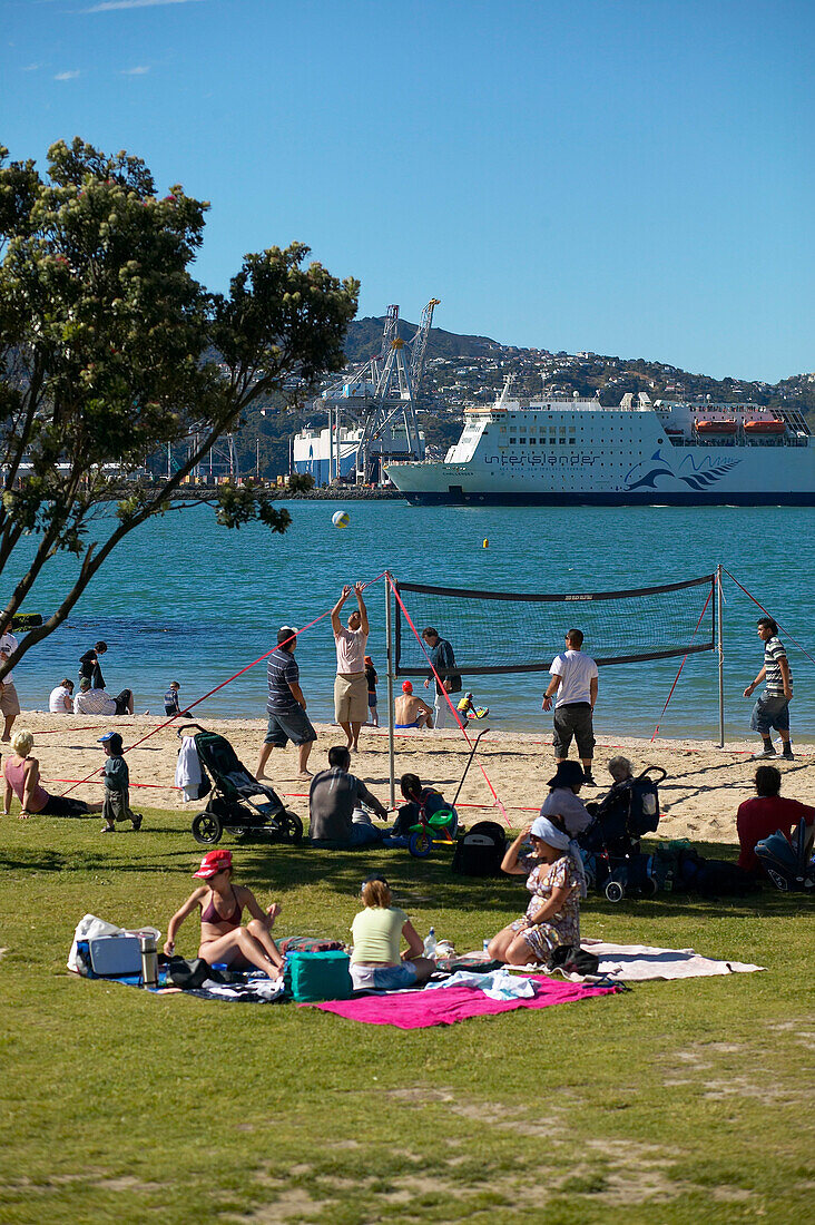 Strand mit Spielplatz an Oriental Parade, Promenade im Hafen, hinten Fähre zur Südinsel, Zentrum Wellington, Nordinsel, Neuseeland