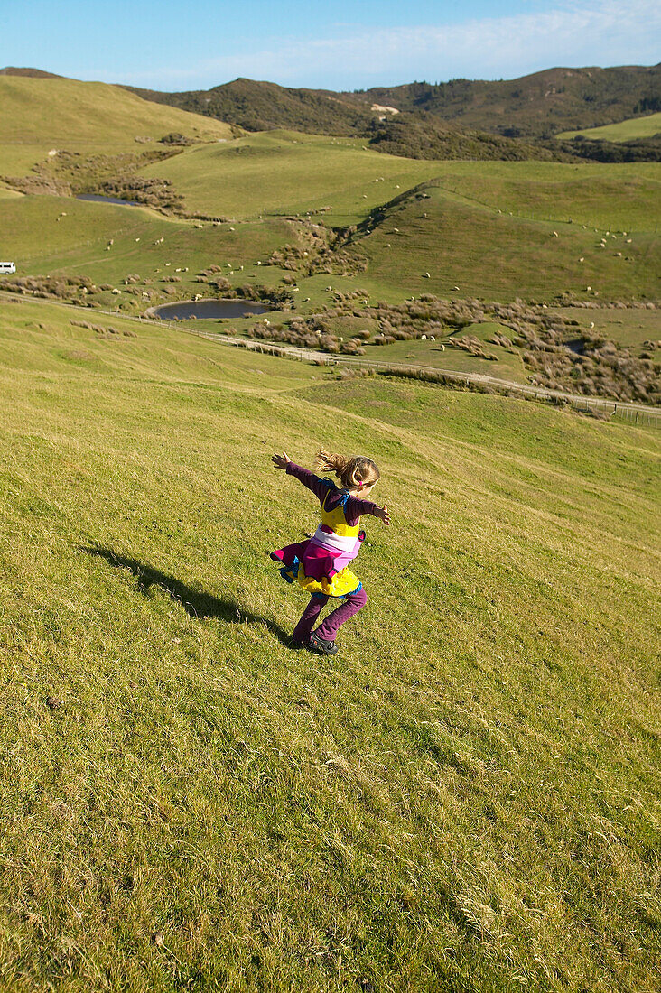 Girl running on farmland, grazing sheep, near Puponga, Golden Bay, northern coast of South Island, New Zealand