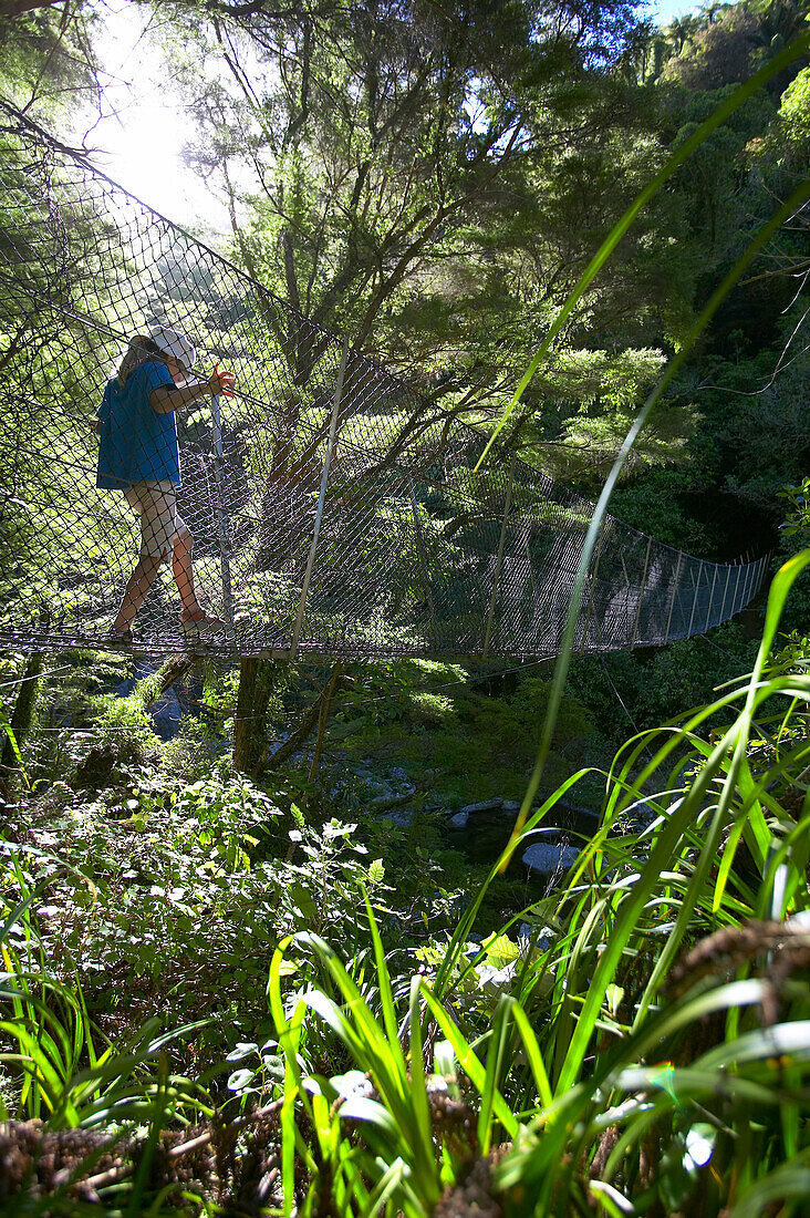 Girl on hanging bridge, rivercrossing in Abel Tasman National Park, north coast of South Island, New Zealand