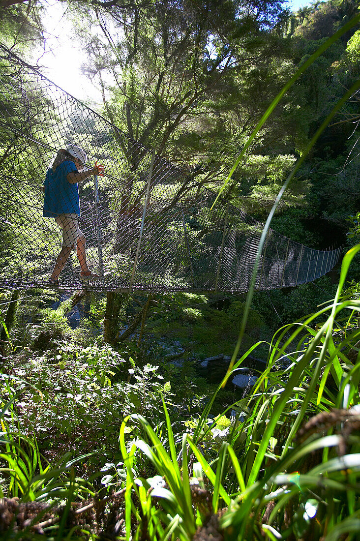Mädchen auf Hängebrücke über Fluß, Wanderung im Abel Tasman Nat.Park, Nordüste, Südinsel, Neuseeland