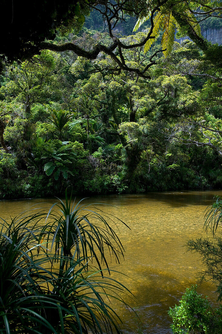 Punakaiki River, Punakaiki National Park north of Hokitika, Westcoast, South Island, New Zealand