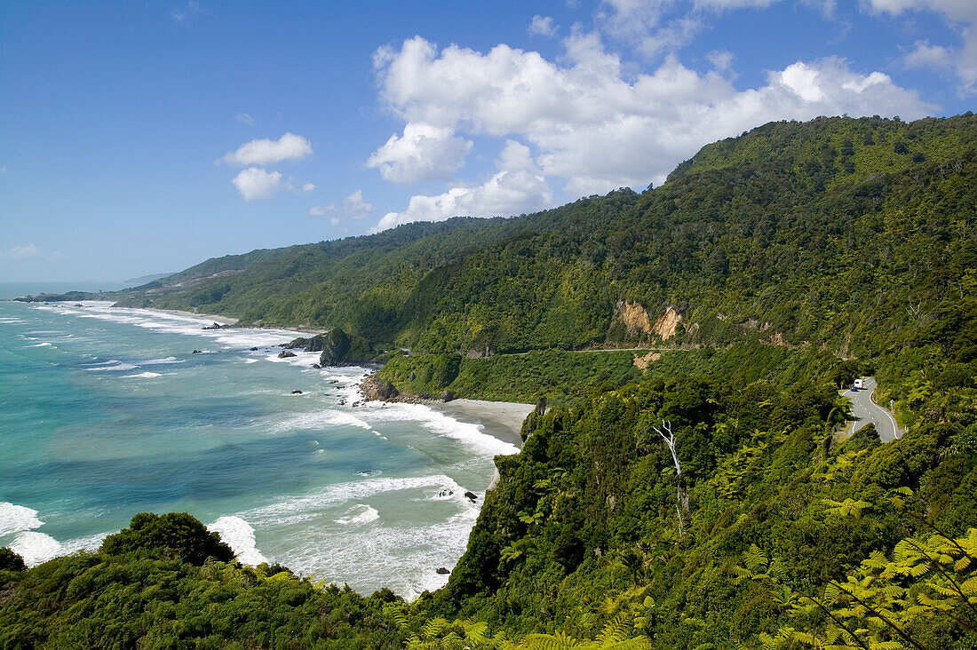 Pacific Coast Highway No. 6, coastal rainforest, near Punakaiki National Park, north of Hokitika, Westcoast, South Island, New Zealand