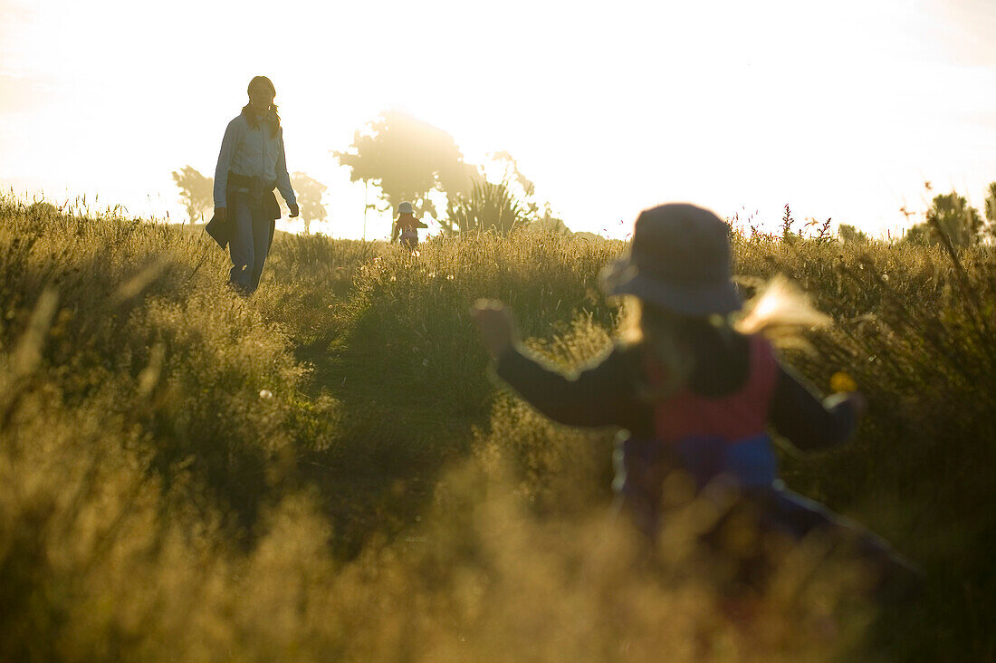 Mother and child wandering through high gras, sunset at the Westcoast, near Haast, South Island, New Zealand