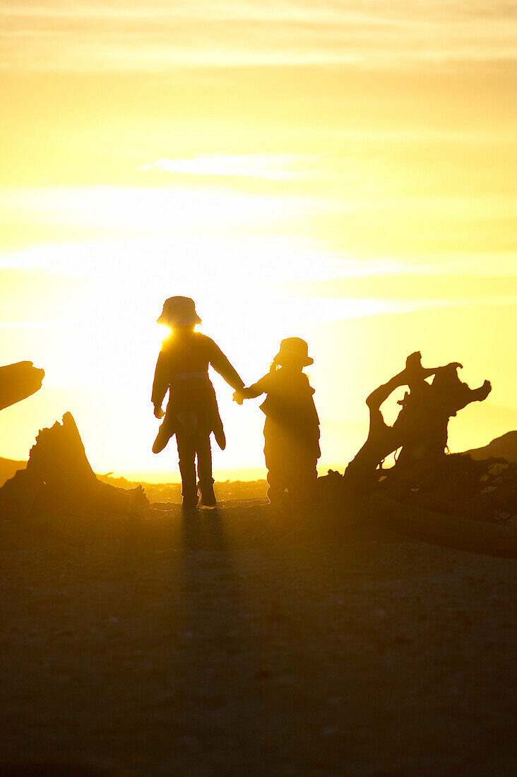 Kinder laufen zwischen Treibholz,  Sonnenuntergang, Strand bei Haast, Westküste, Südinsel, Neuseland