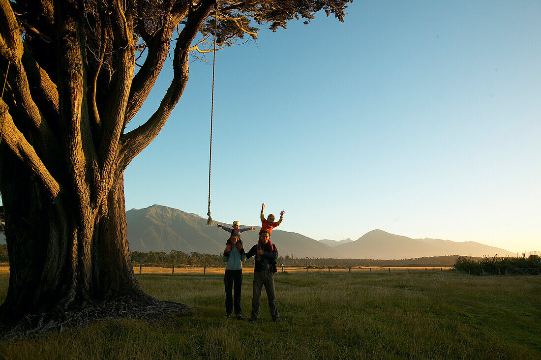 Familie an Schauckelseil an riesigem Baum, Sonnenuntergang, Strand bei Haast, Westküste, Südinsel, Neuseeland