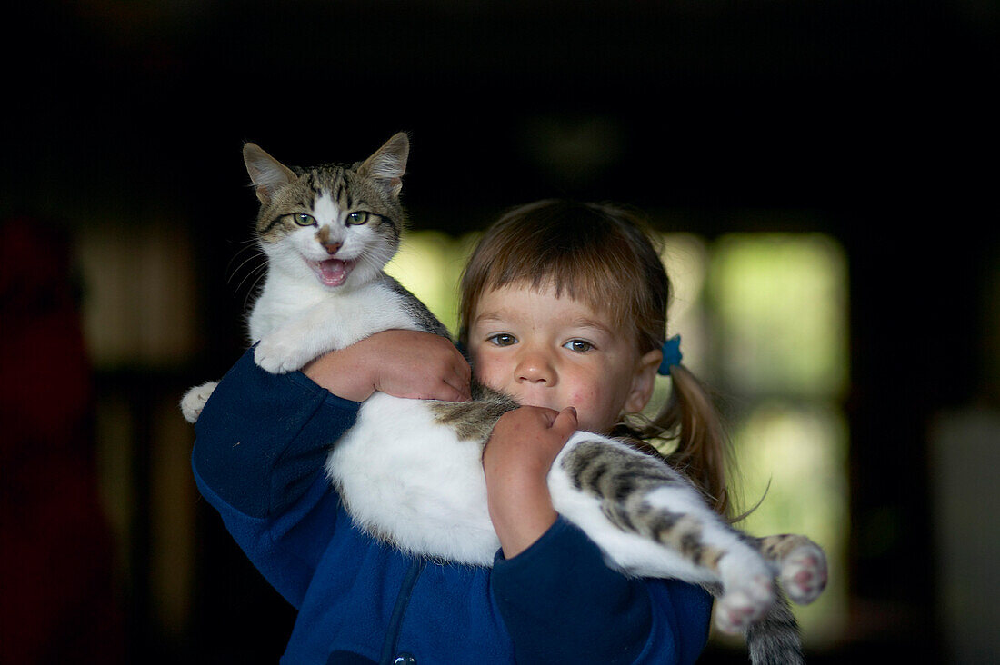 Girl huggling cat, staying at Rowendale Homestead farm, B & B, Okains Bay Bank`s Peninsula, east coast, South Island, New Zealand