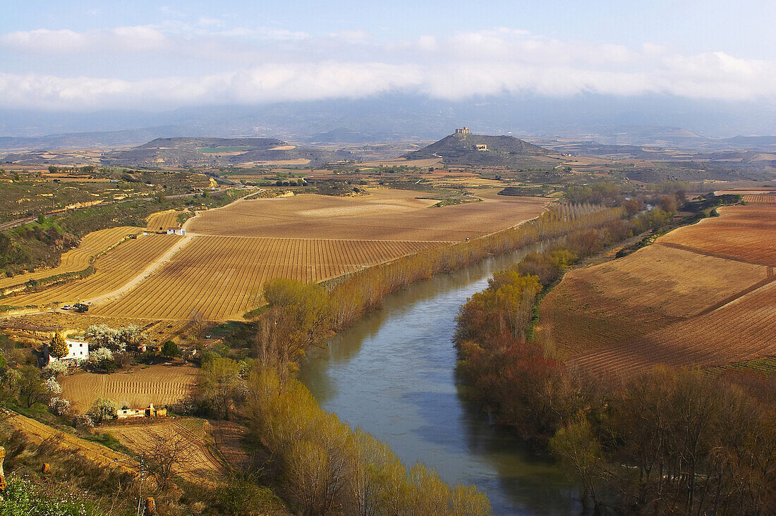 Wide landscape and farmhouses in a wine growing area in spring, along the river Ebro, la Rioja, Spain