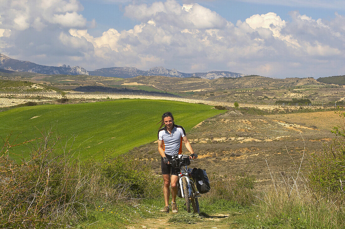 Landscape with pilgrim pushing bike, near Viana, Navarra, Spain