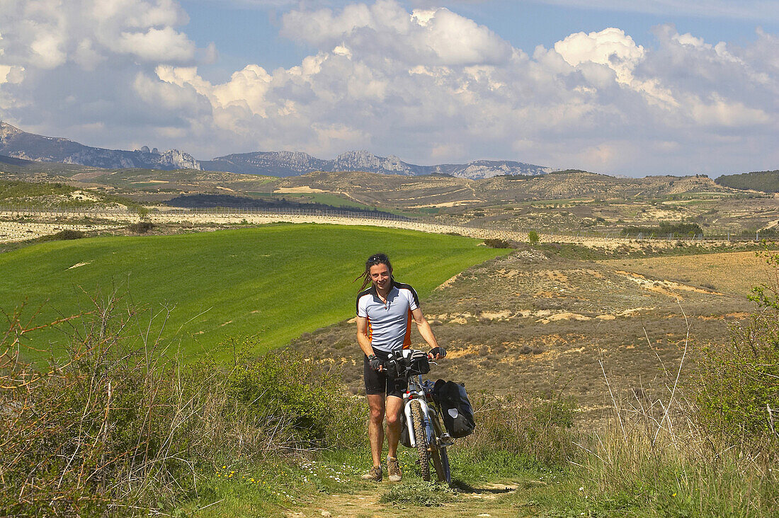 Landschaft und Pilger bei Viana, Fahrradfahrer, Viana, Navarra, Spanien