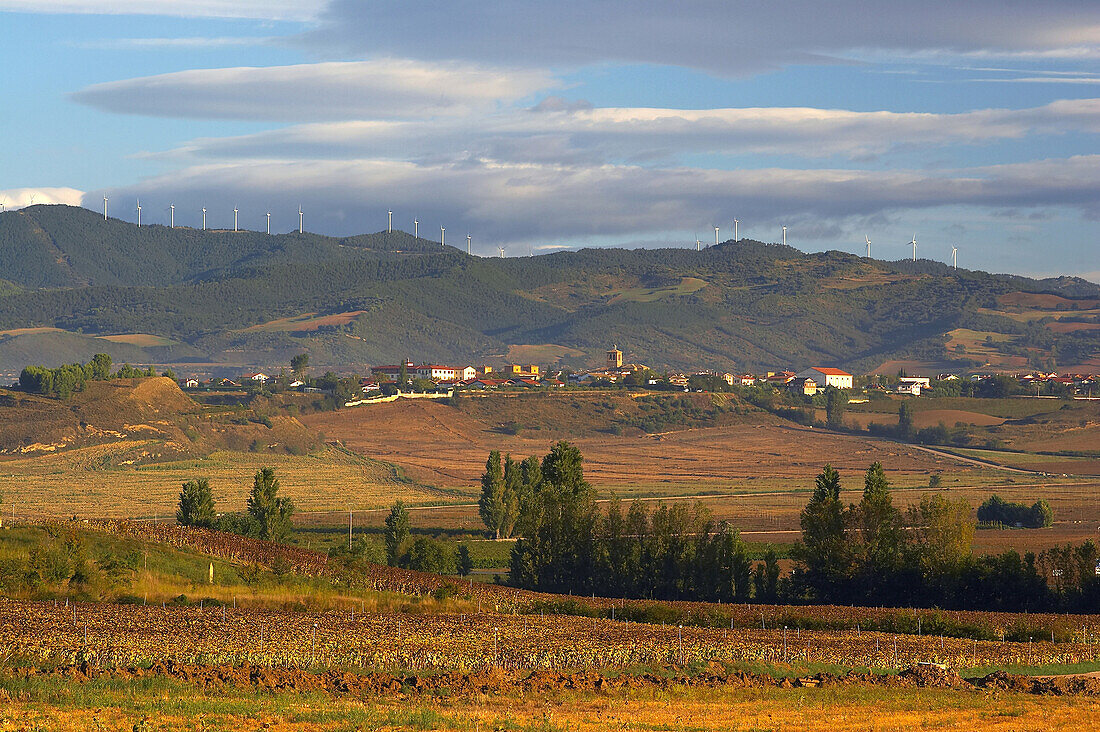 Landscape with wind turbines near the village of Muruzabal, view to Sierra del Perdón, Navarra, Spain