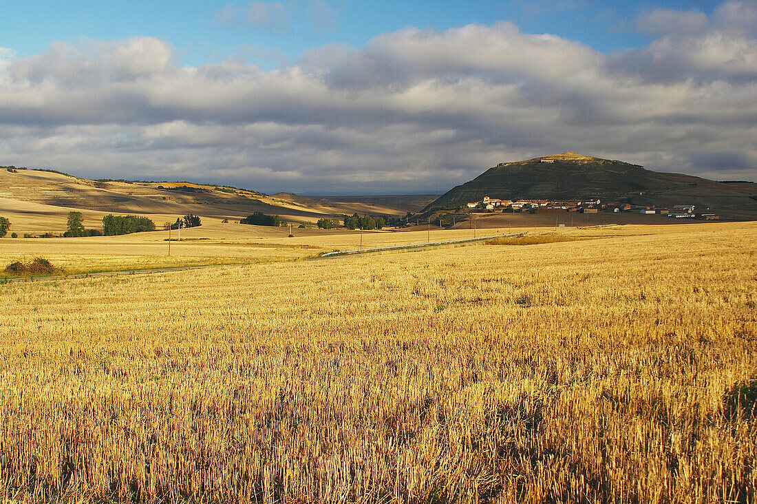 Stoppelfelder mit Dorf im Hintergrund, Ibrillos, bei Belorado, Kastilien-Leon, Spanien