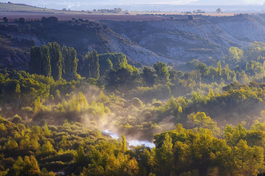 Morgenstimmung in Herbst mit Frühnebel, Nebel, über Fluß, Río Aragón, Tal, Aragonien, Spanien, Europa